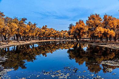 《怪物猎人：崛起》PC版M站88分 IGN：PC体验极佳